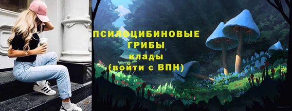 тгк Абдулино