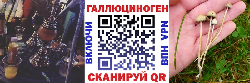 Псилоцибиновые грибы мухоморы Усть-Илимск